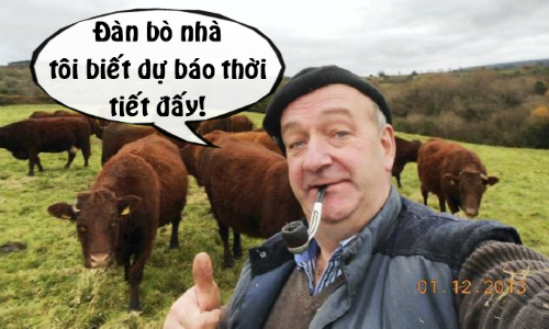 BÃ² dá»± bÃ¡o thá»i tiáº¿t